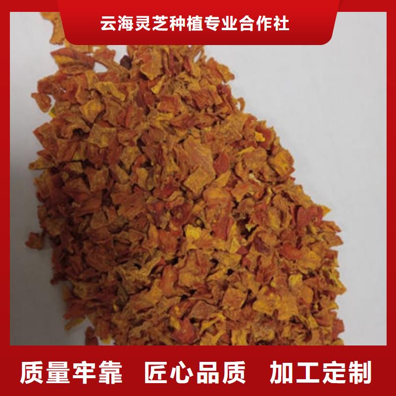 南瓜丁有机栎木赤灵芝品牌大厂家