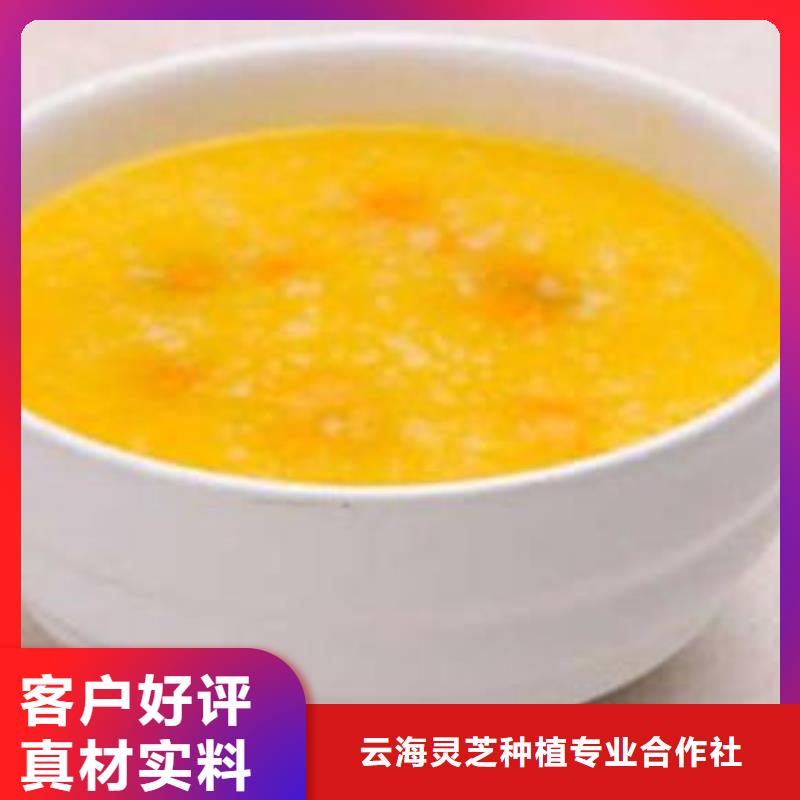 南瓜丁有机栎木赤灵芝品牌大厂家