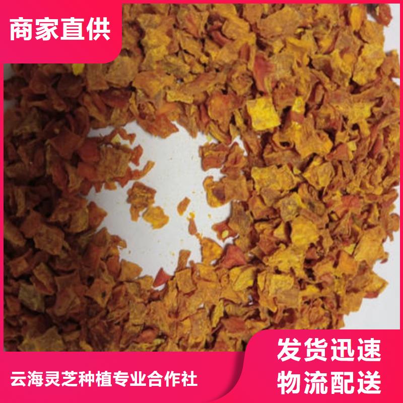 南瓜丁有机栎木赤灵芝品牌大厂家