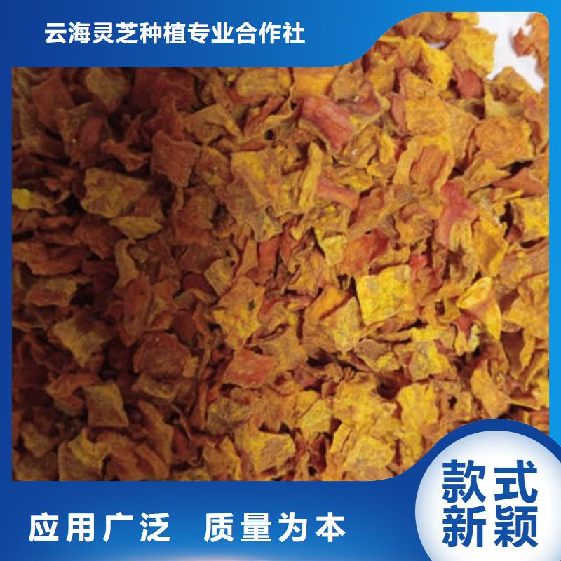 南瓜丁有机栎木赤灵芝品牌大厂家