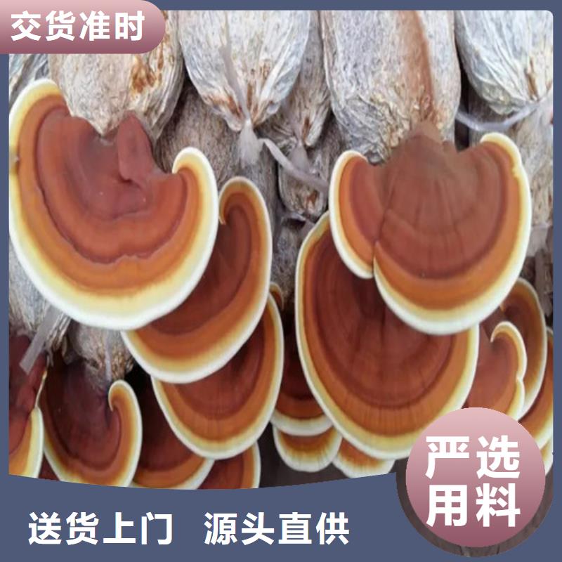 
灵芝孢子粉广受好评