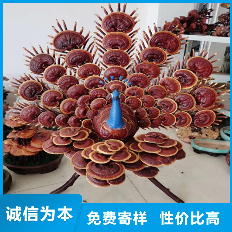 【图】
灵芝超细粉厂家直销