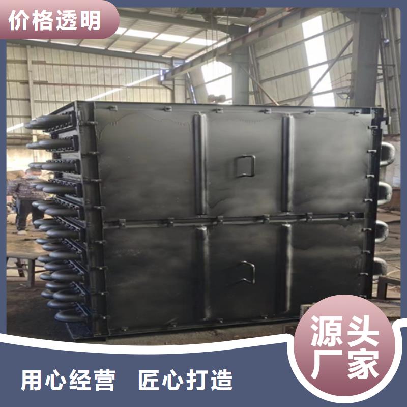 0.75米单支省煤器管（生产厂家）
