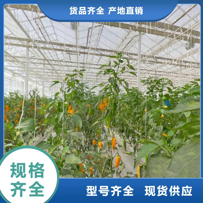 大鹏新区草药大棚管生产厂家供应信息,