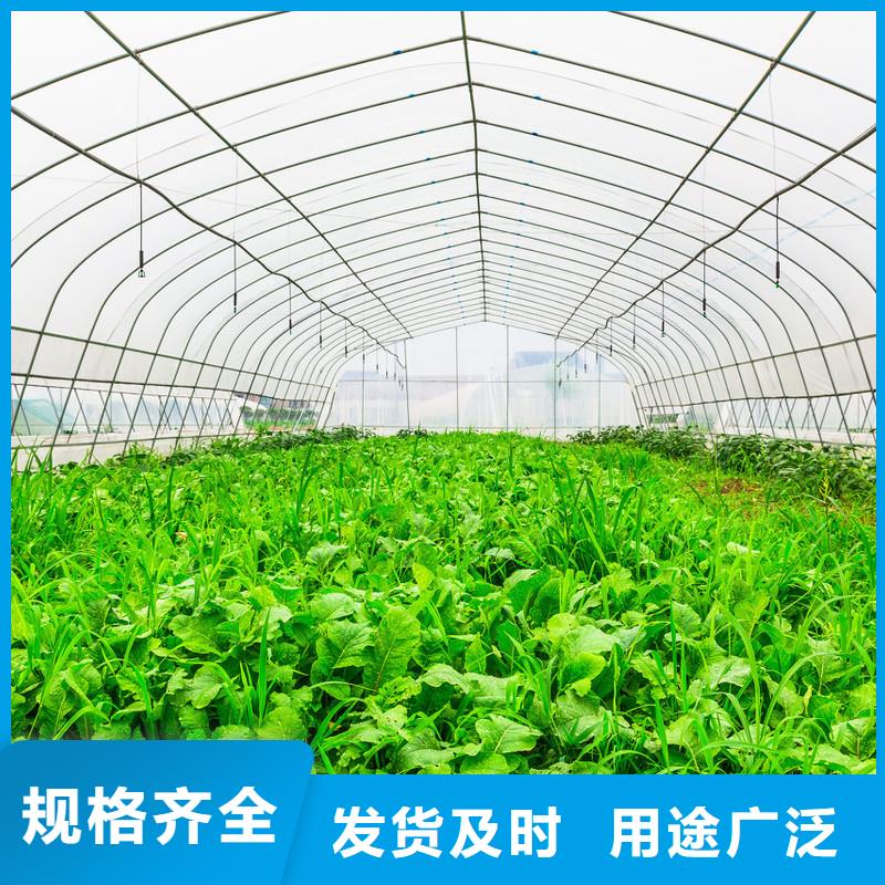 新绛县育苗用大棚管厂家实时报价、