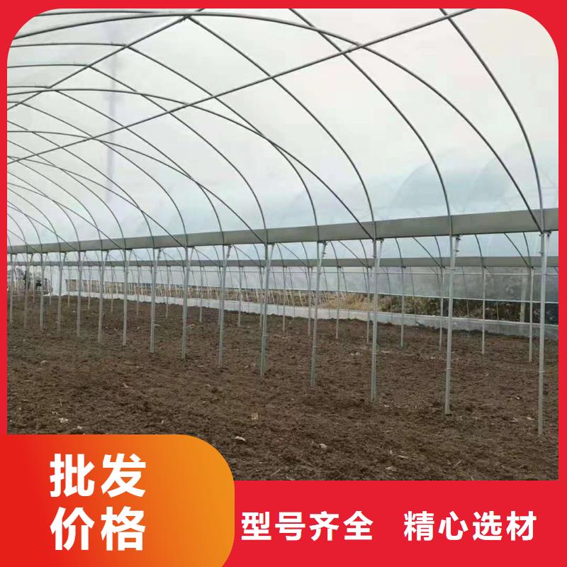 新绛县育苗用大棚管厂家实时报价、