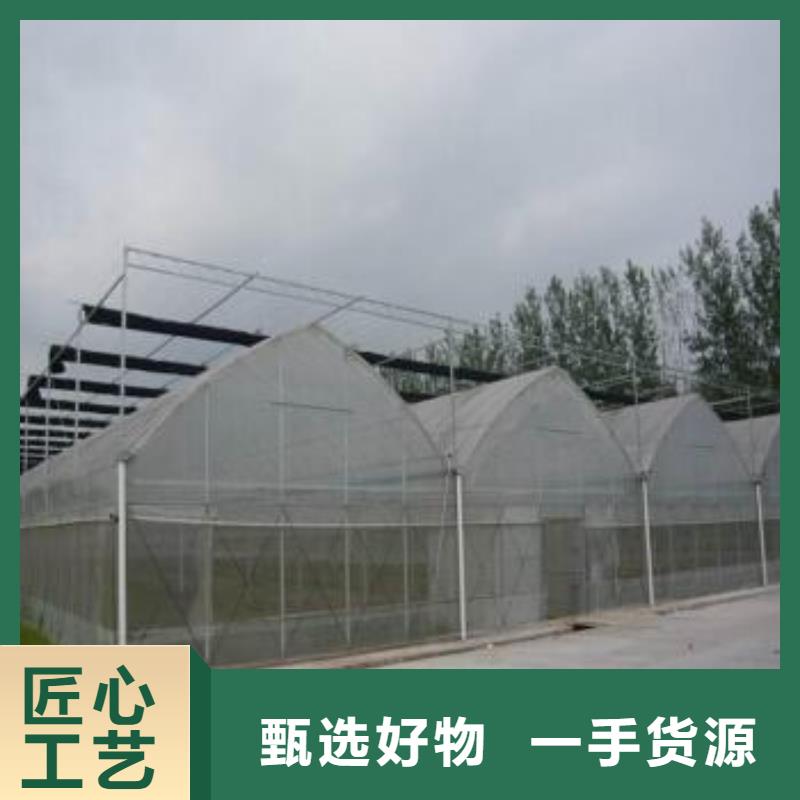 滕州市黄瓜大棚钢管免费查询、