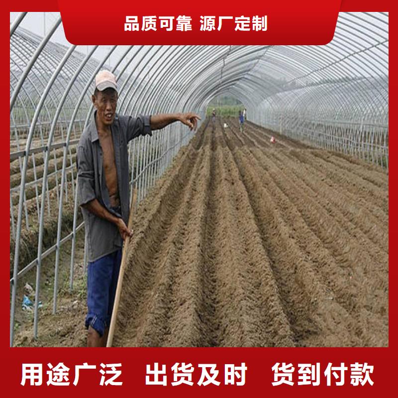 大鹏新区简易大棚管折弯现货供应,