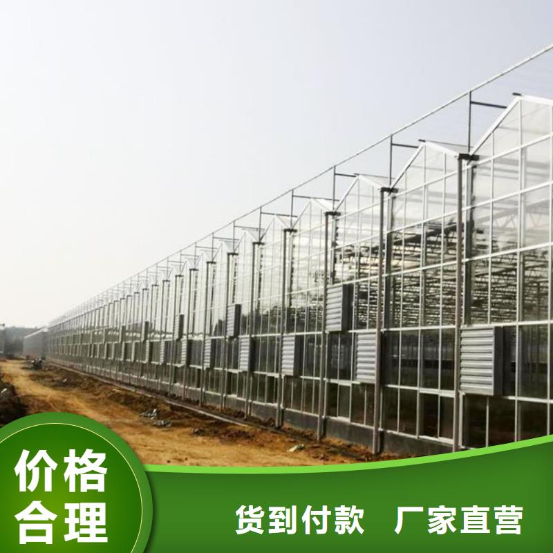 大鹏新区简易大棚管折弯现货供应,