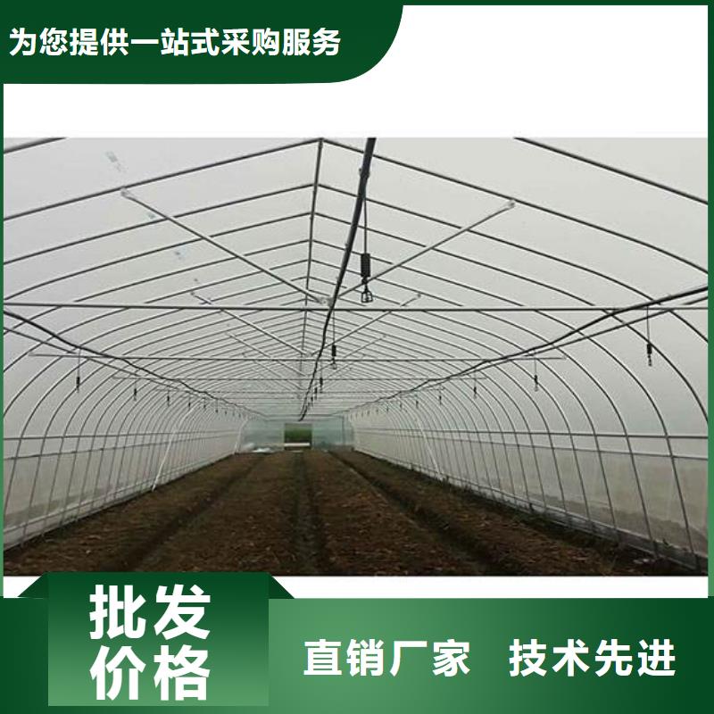 大鹏新区简易大棚管折弯现货供应,