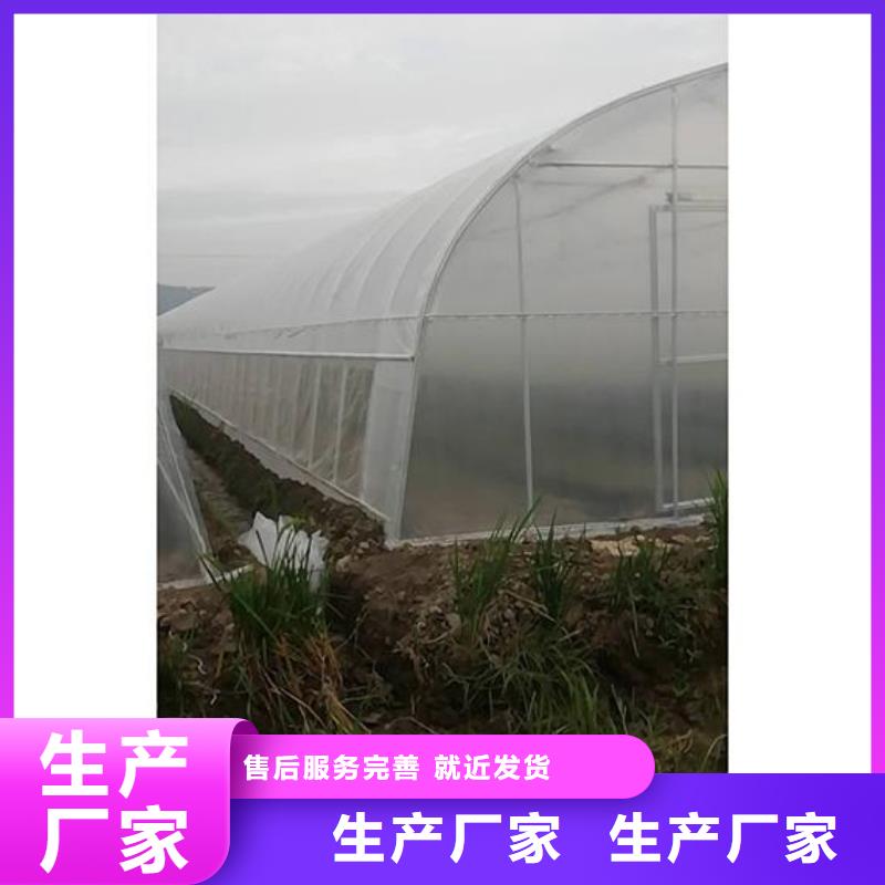 大鹏新区简易大棚管折弯现货供应,