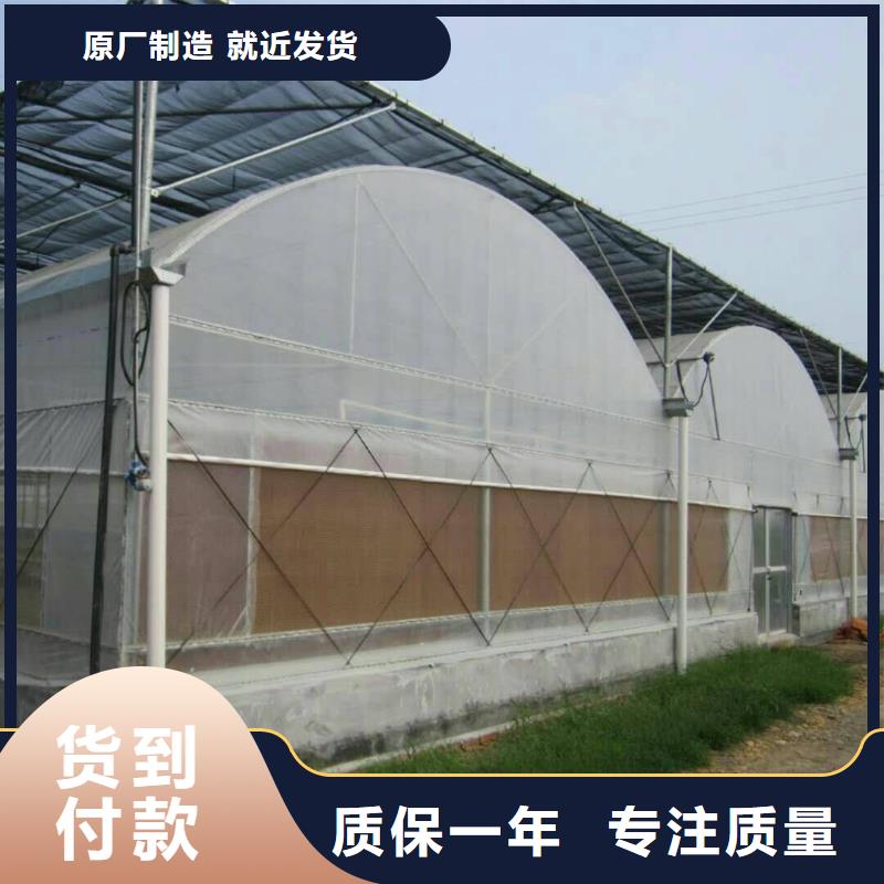 4分大棚骨架工艺精湛,
