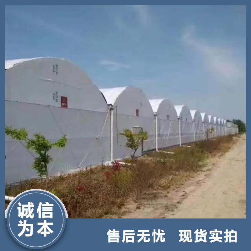 茄子大棚管现货现货供应,