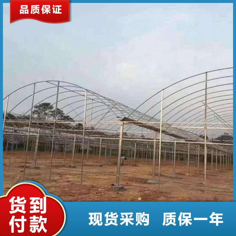 茄子大棚管现货现货供应,