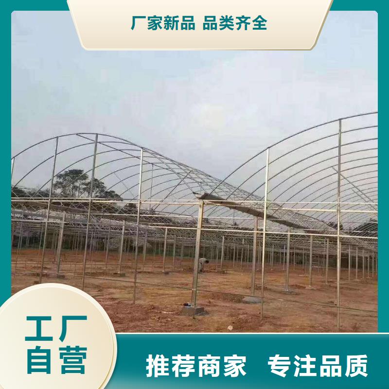 4分大棚骨架工艺精湛,