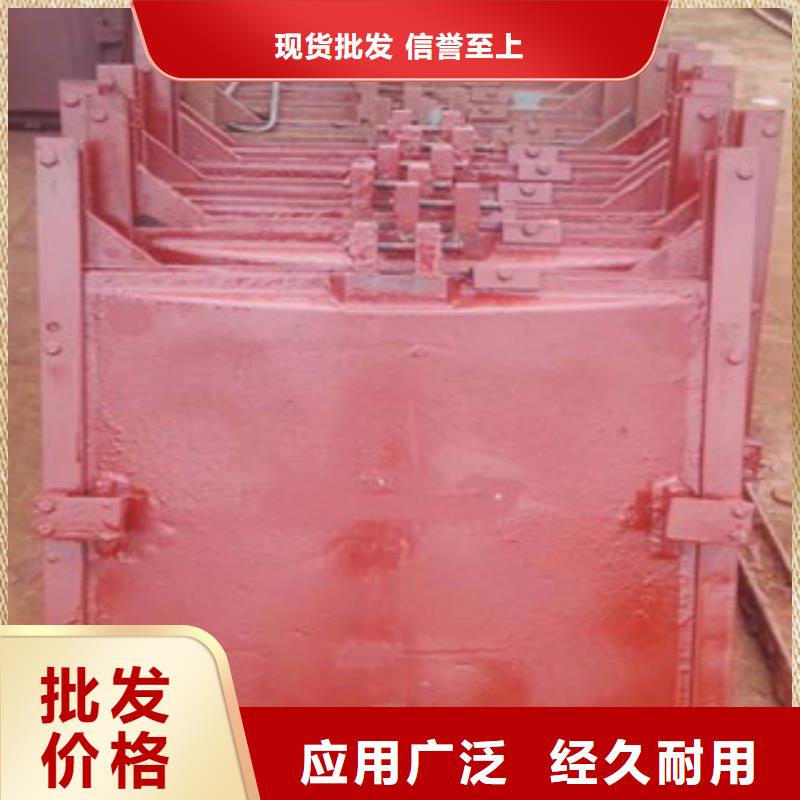 铸铁闸门,直联式螺杆启闭机供应采购