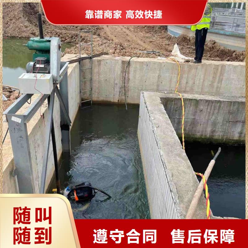 桥桩码头桩拆除公司-承接各种潜水工程