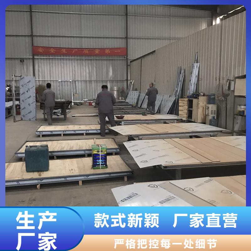 厂家定制双扇电动防护铅门