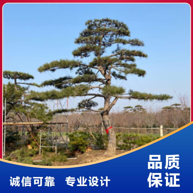  造型松严格把关质量放心