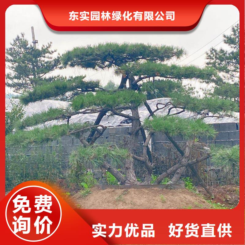  造型松严格把关质量放心