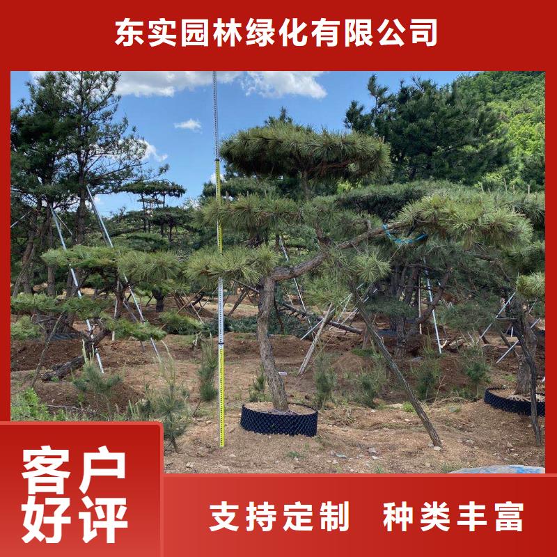  造型松严格把关质量放心
