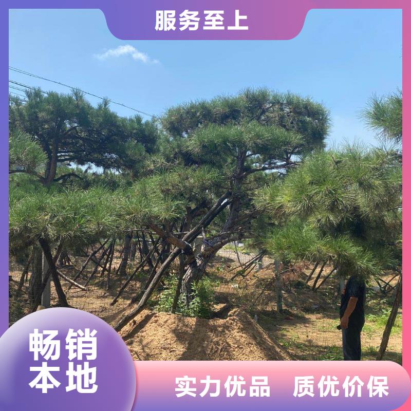 造型松严格把关质量放心