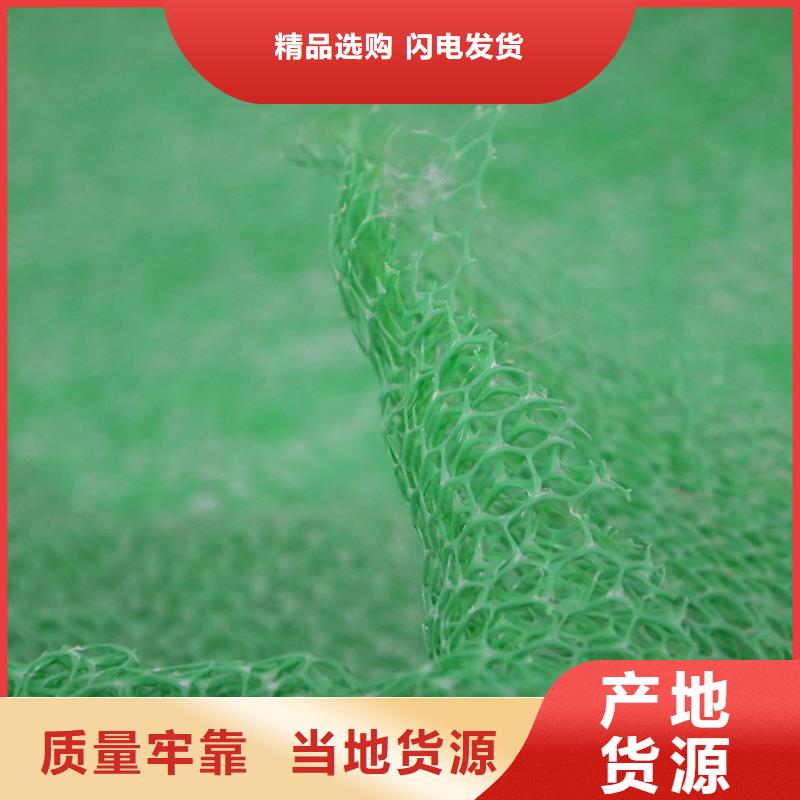 三维植被网_高性价比三维植被网_选择亿路通新材料