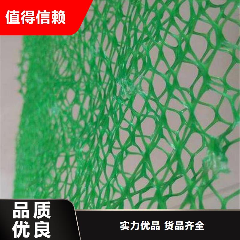三维植被网_PP焊接土工格栅多种规格供您选择