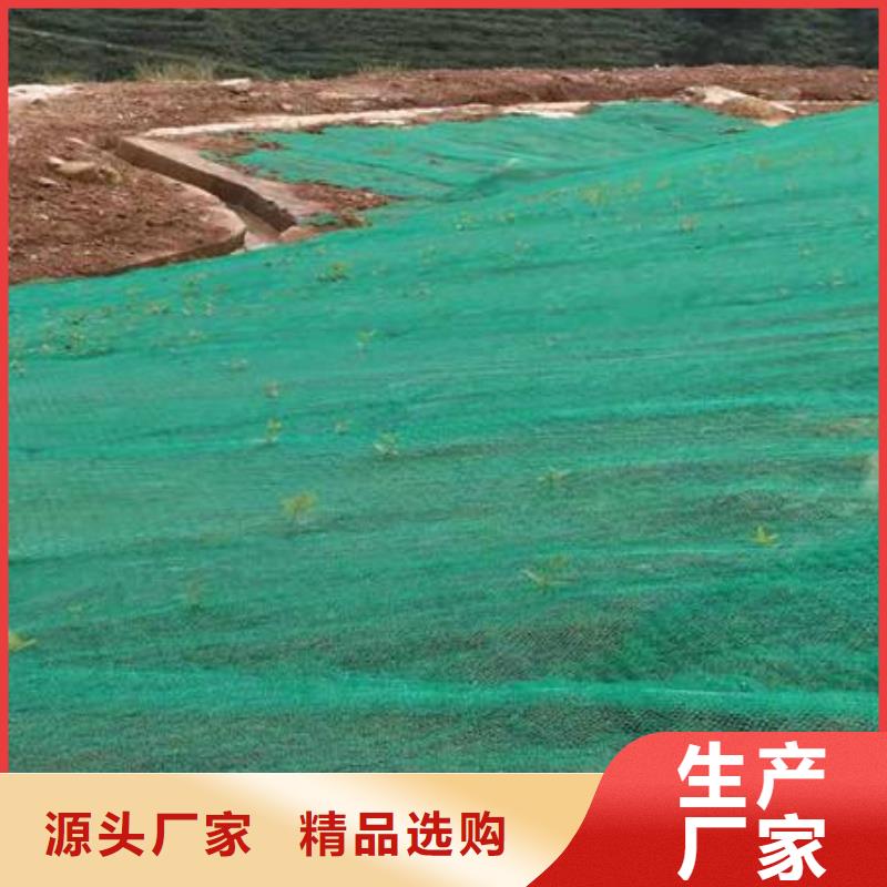 三维植被网_PP焊接土工格栅多种规格供您选择