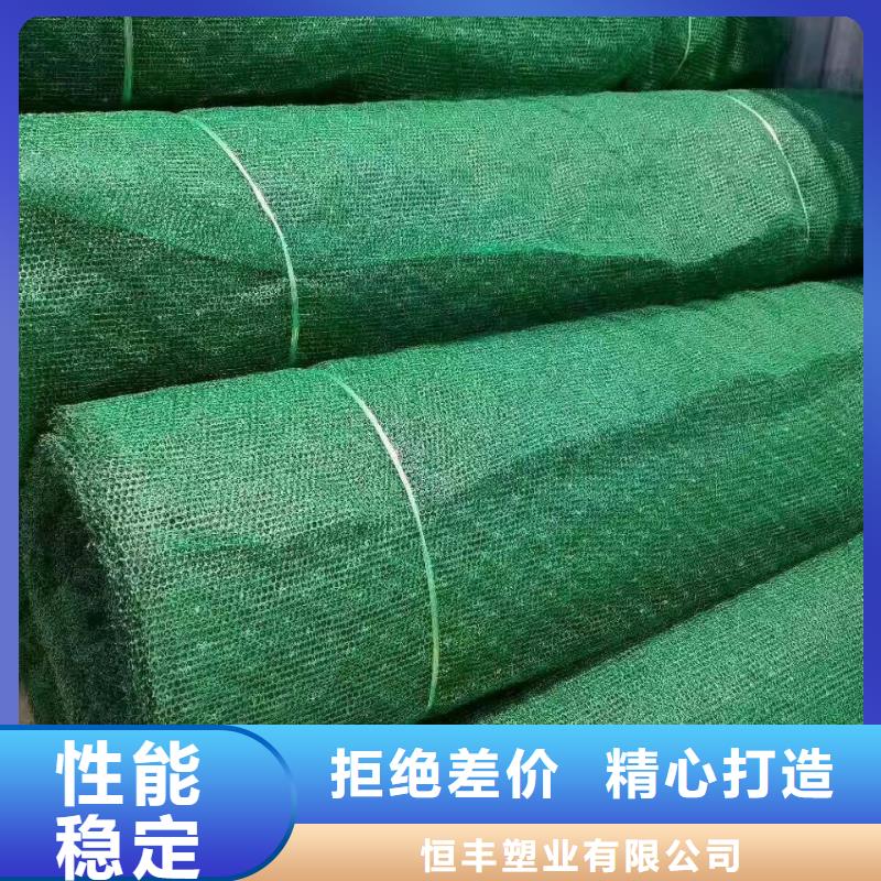 三维植被网_高性价比三维植被网_选择亿路通新材料