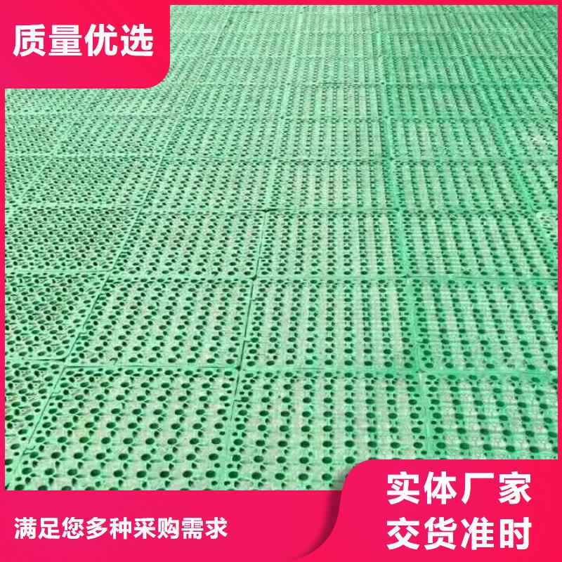 三维植被网_高性价比三维植被网_选择亿路通新材料