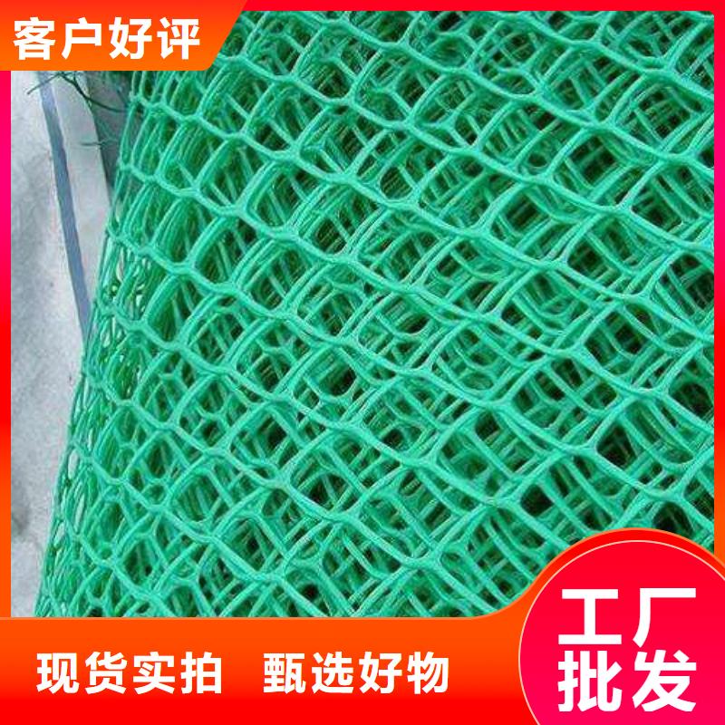 三维植被网_PP焊接土工格栅多种规格供您选择