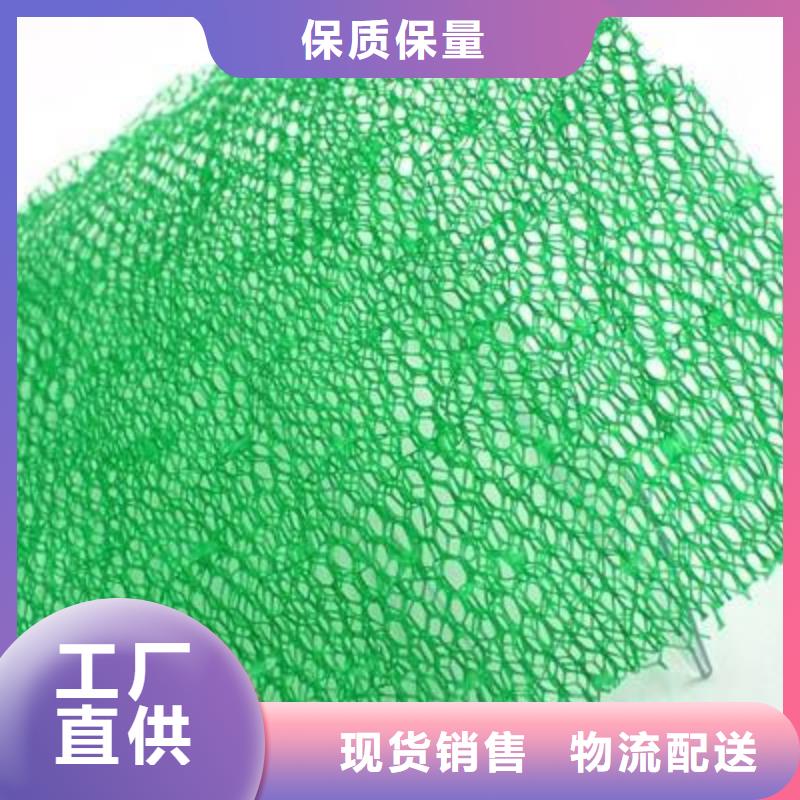 三维植被网_高性价比三维植被网_选择亿路通新材料
