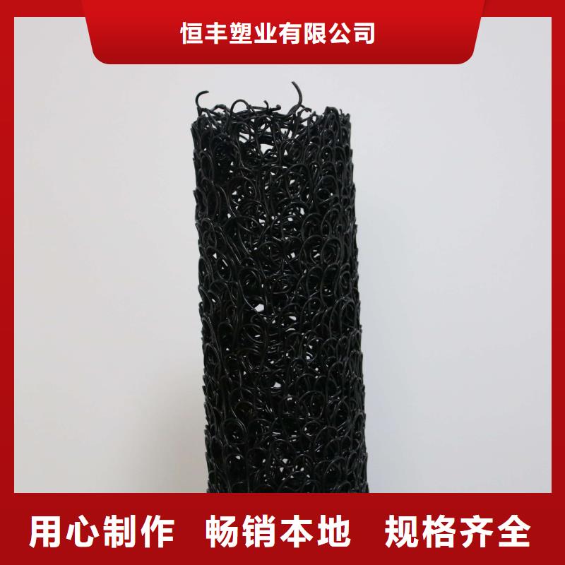 塑料盲沟凸结点钢塑土工格栅极速发货