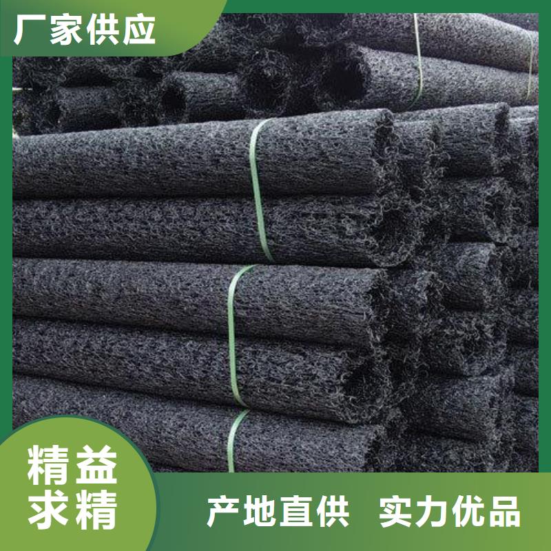 塑料盲沟凸结点钢塑土工格栅极速发货
