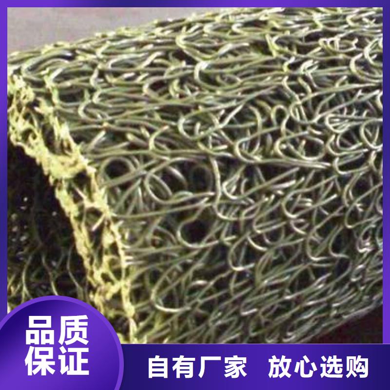 塑料盲沟凸结点钢塑土工格栅极速发货