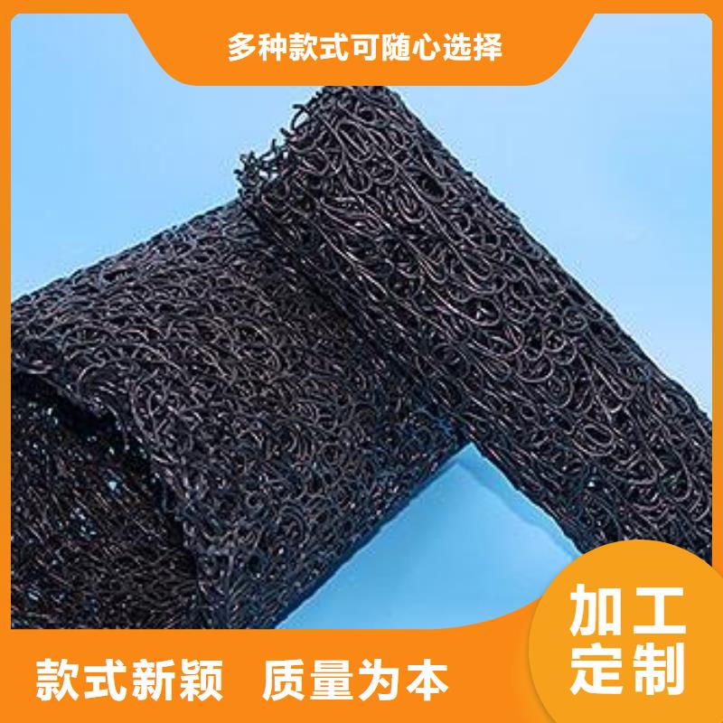 塑料盲沟凸结点钢塑土工格栅极速发货