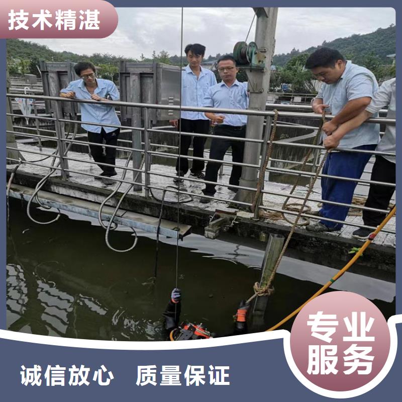 水下作业公司-全市本地潜水队