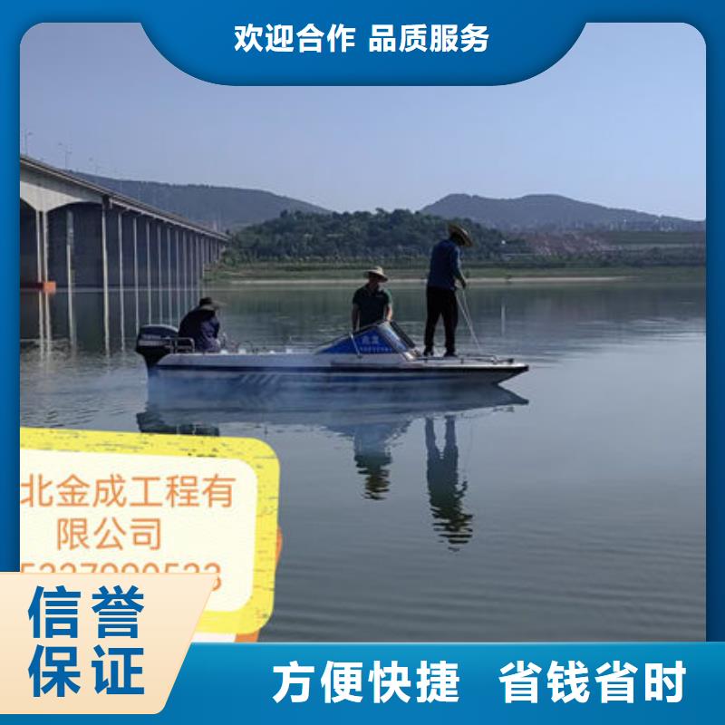 水下作业公司-全市本地潜水队