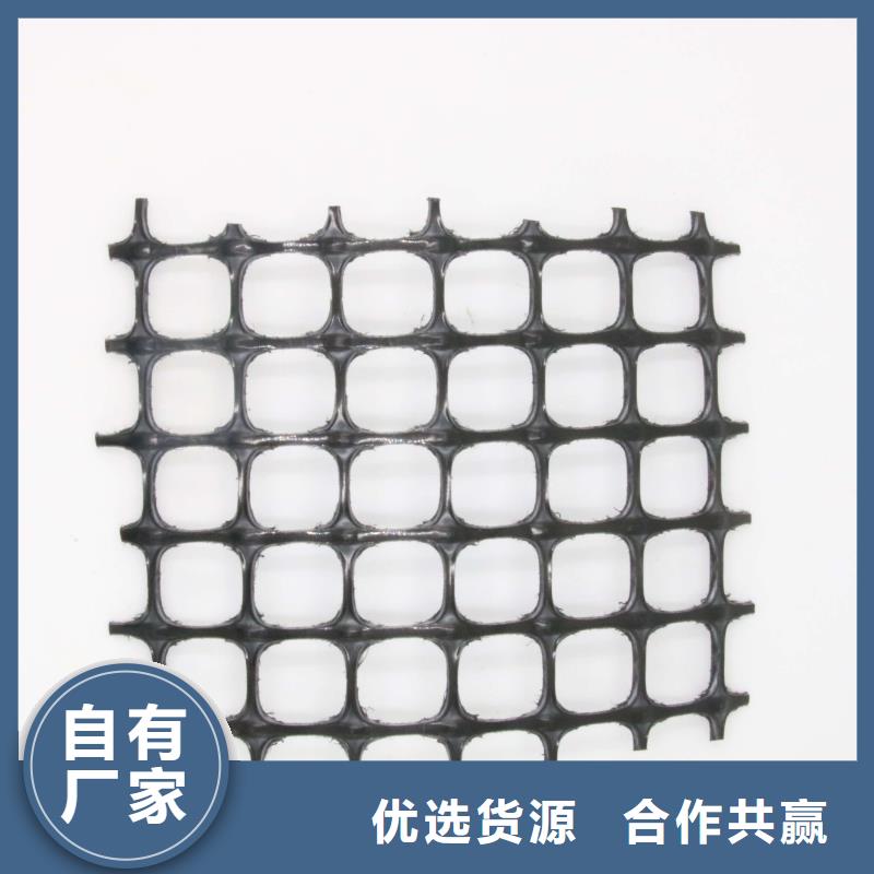 塑料土工格栅【土工席垫】价格透明