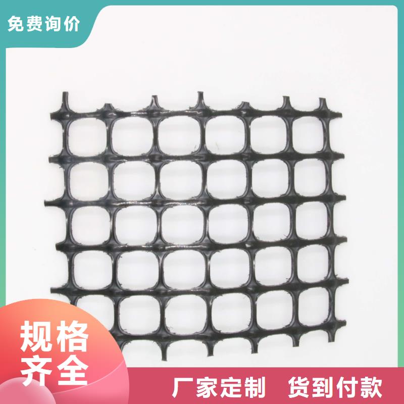 塑料土工格栅三维土工网垫专注质量