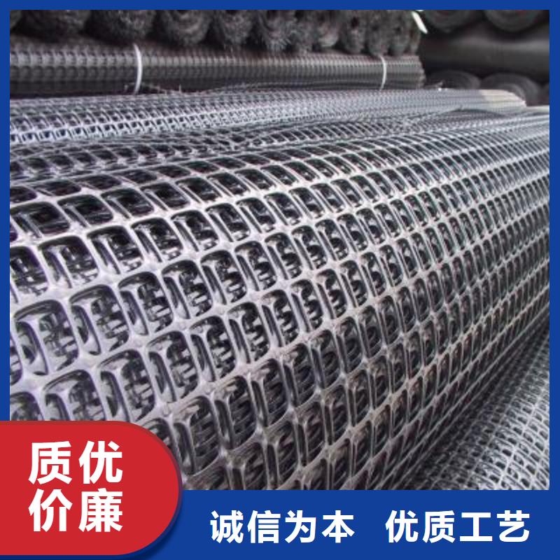 塑料土工格栅【土工席垫】价格透明