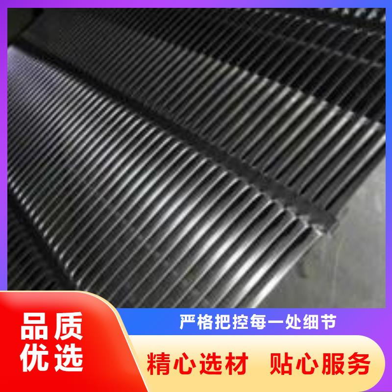 塑料土工格栅三维土工网垫专注质量