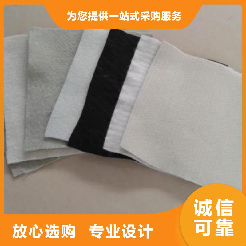 土工布涤纶土工格栅厂家直销货源充足