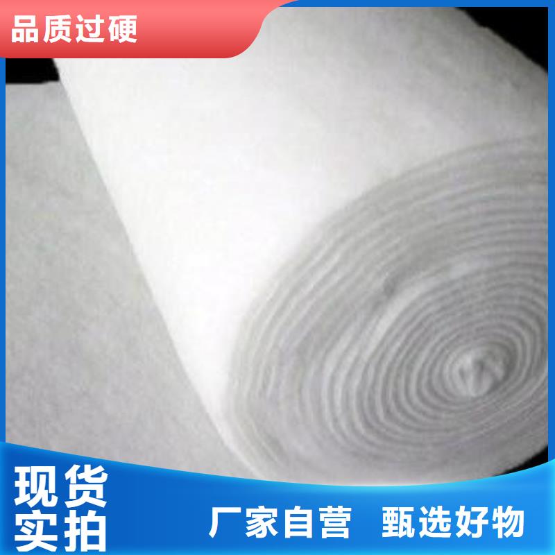 土工布涤纶土工格栅厂家直销货源充足