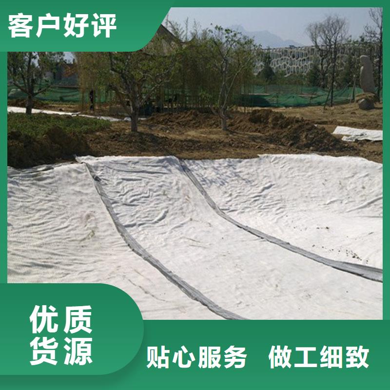 【膨润土防水毯】-凸结点钢塑土工格栅信誉有保证