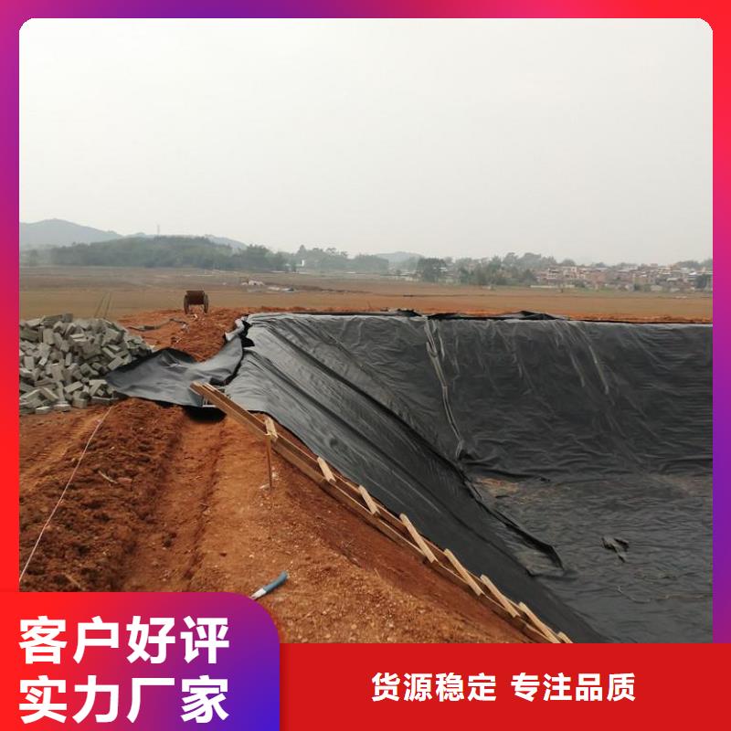土工膜-塑料土工格栅畅销本地
