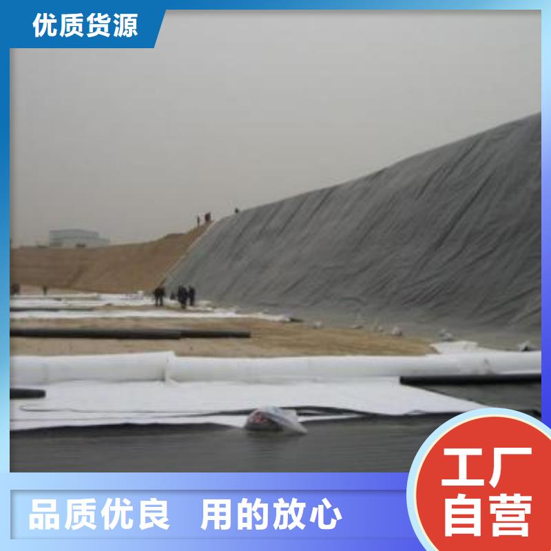 土工膜-钢塑土工格栅品质做服务