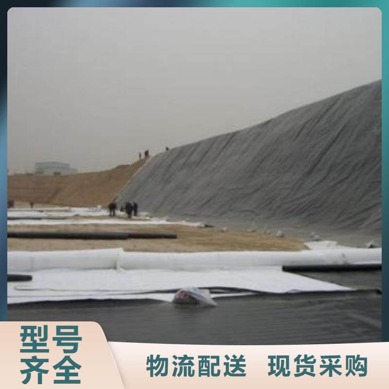 土工膜复合土工膜源头厂源头货