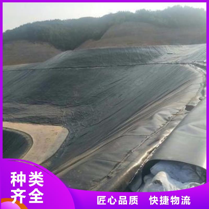 土工膜,土工HDPE膜实体厂家支持定制